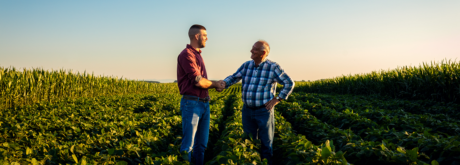Farmers Shaking Hands in the Field